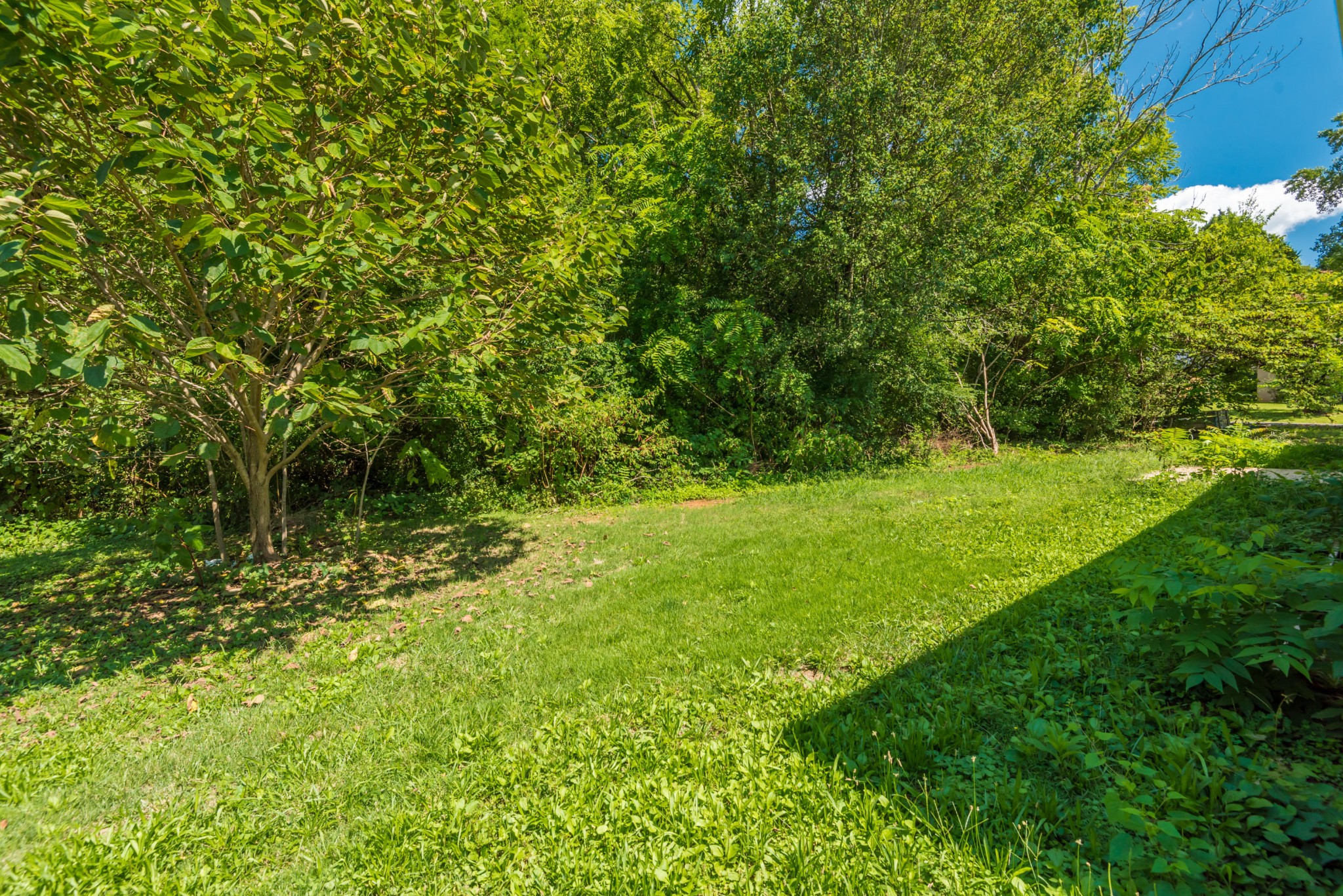 133 Simmons Road Loudon, TN 37774 - Photo 22 of 24 Gallery Image 22