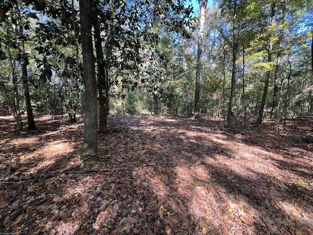 21.24-ac Union Grove Road Opp, AL 36467 - Photo 33 of 38 Gallery Image 33