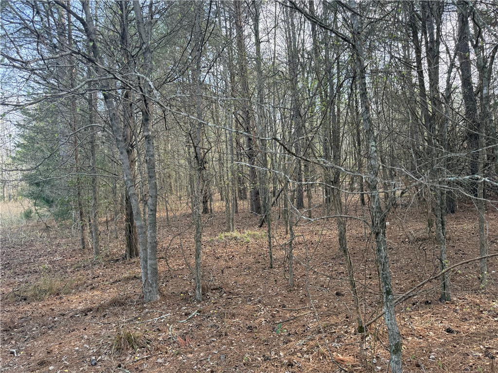 0 Holland Ford Road Pelzer, SC 29669 - Photo 21 of 35