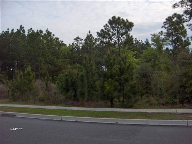 Lot 175 Bridge View Road Georgetown, SC 29440 - Photo 3 of 15 Gallery Image 3