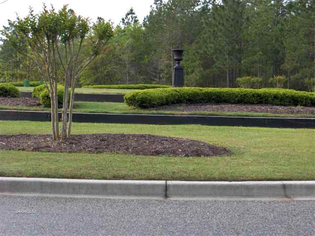Lot 175 Bridge View Road Georgetown, SC 29440 - Photo 5 of 15 Gallery Image 5