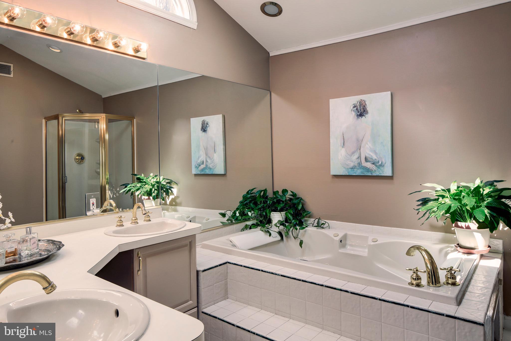 744 Stinchcomb Road Severna Park, MD 21146 - Photo 11 of 32 Primary Bath, jetted soaking tub