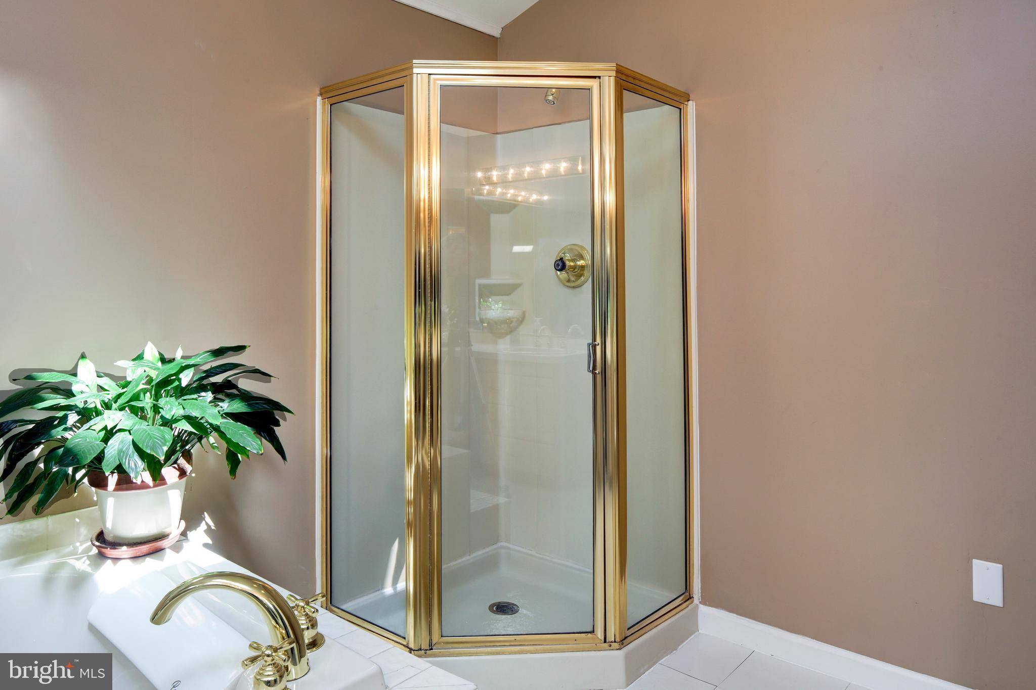 744 Stinchcomb Road Severna Park, MD 21146 - Photo 12 of 32 Primary Bath, separate shower