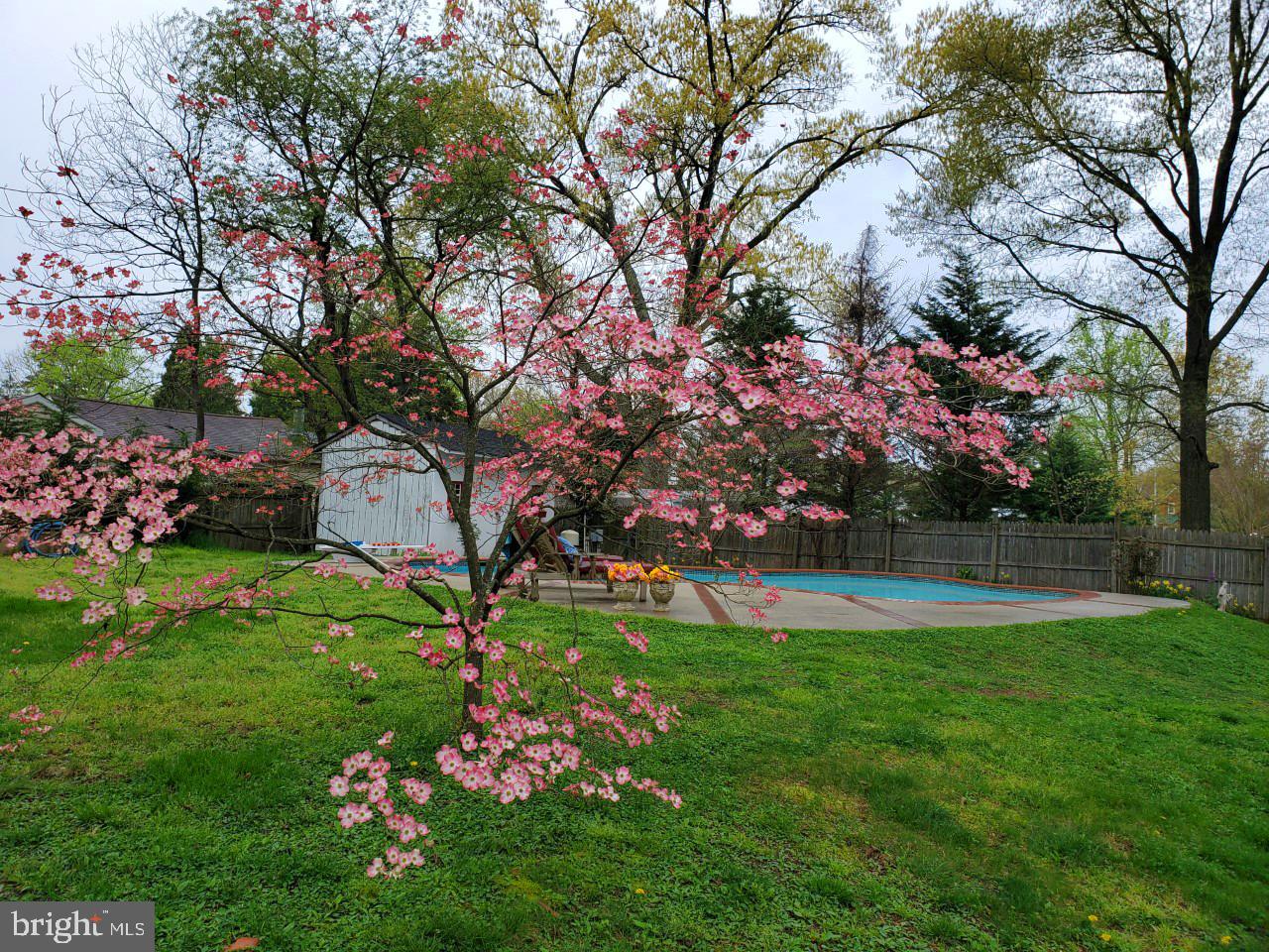 744 Stinchcomb Road Severna Park, MD 21146 - Photo 23 of 32 Gallery Image 23