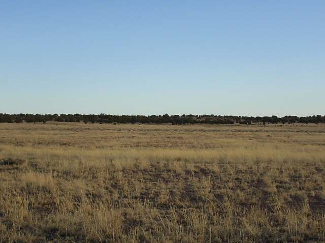 Lot 249 River Meadows Ranch Concho, AZ 85924 - Photo 1 of 2
