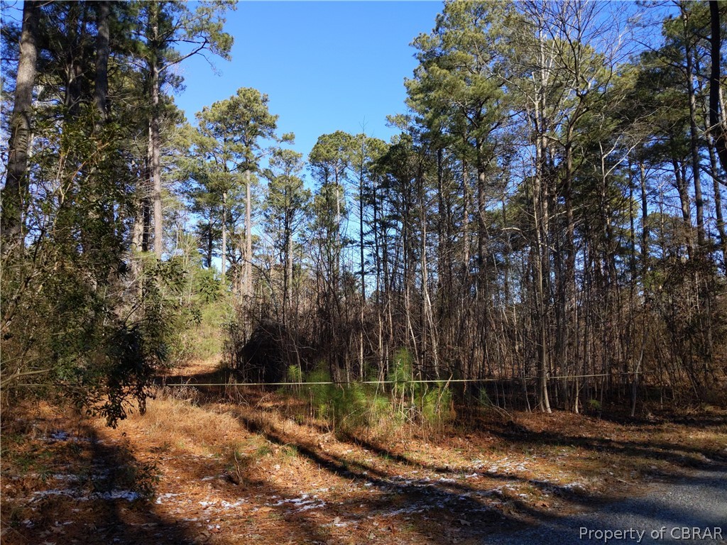 Lot 21-15 Hicks Road Hudgins, VA 23076 - Photo 36 of 50