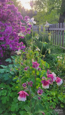 $414,900 | 10 Haven Crest Lane, Fletcher, NC 28732