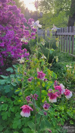 a view of a house with a flower garden