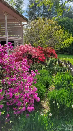 a view of a flower in a garden