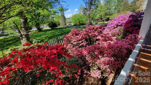 a view of a park with large trees