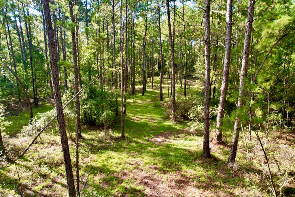 350 Hooper Cherry Road Dothan, AL 36301 - Photo 21 of 29