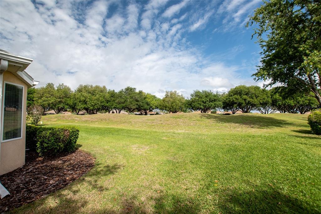 13126 Southeast 93rd Terrace Road Summerfield, FL 34491 - Photo 23 of 70