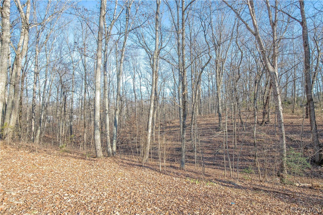 2140 Red Lane Road Powhatan, VA 23139 - Photo 28 of 28 Gallery Image 28