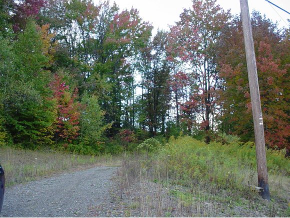 83 Place Road Windsor, NY 13865 - Photo 1 of 7