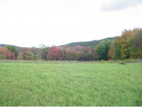 83 Place Road Windsor, NY 13865 - Photo 7 of 7