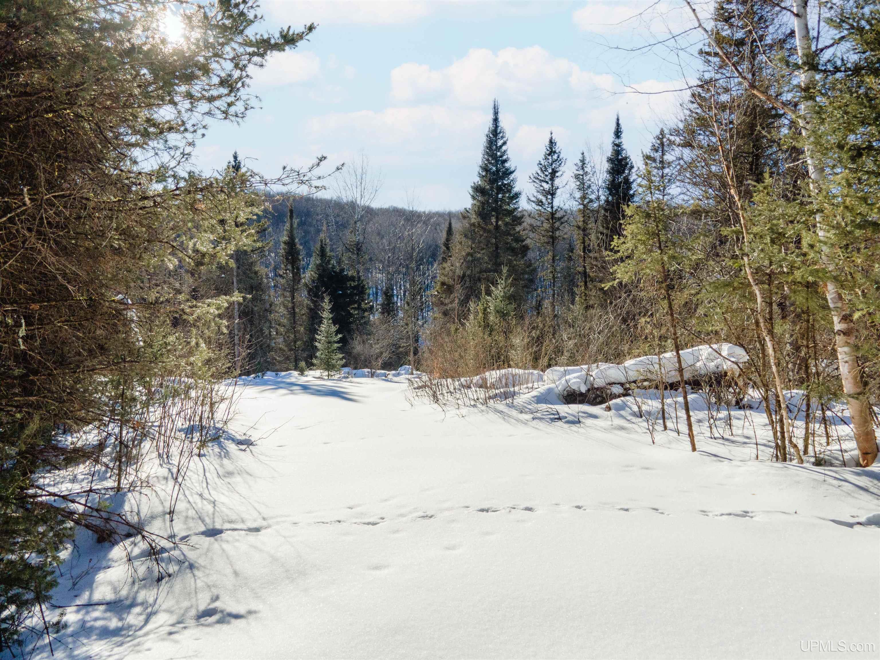 Lot 30 River Country Road Crystal Falls, MI 49920 - Photo 3 of 8