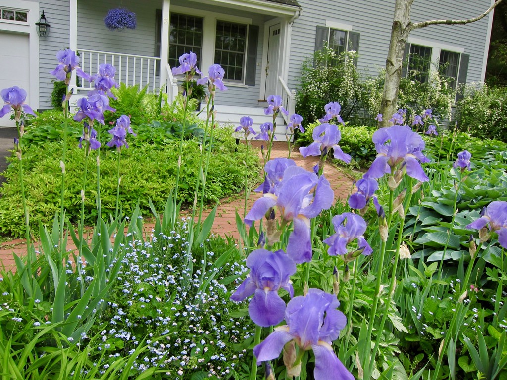 3 Clematis Road Lexington, MA 02421 - Photo 22 of 25 Gallery Image 22