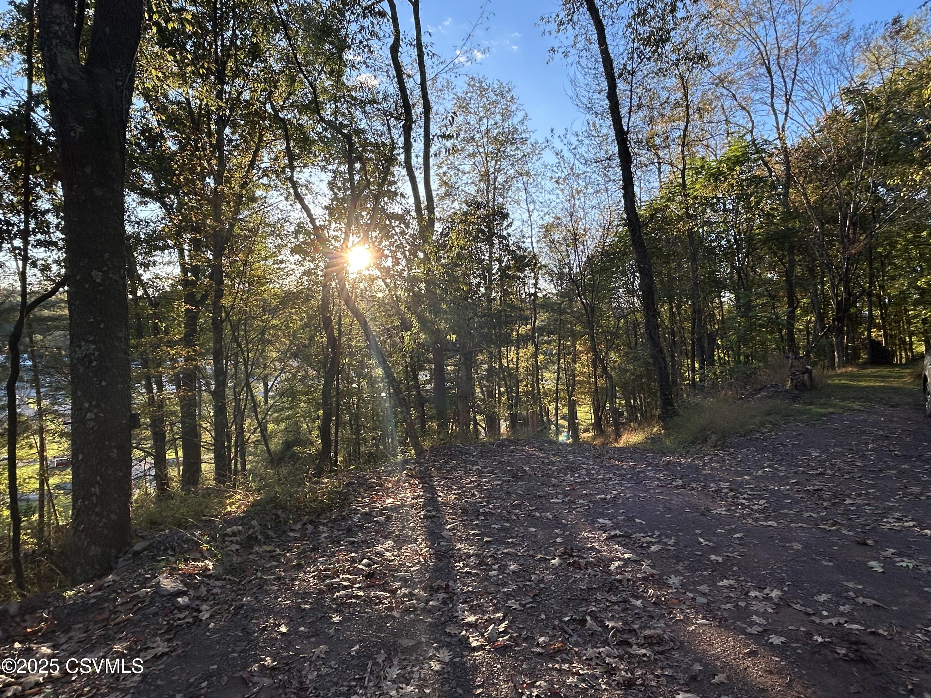 Ridge Road Cogan Station, PA 17728 - Photo 2 of 11