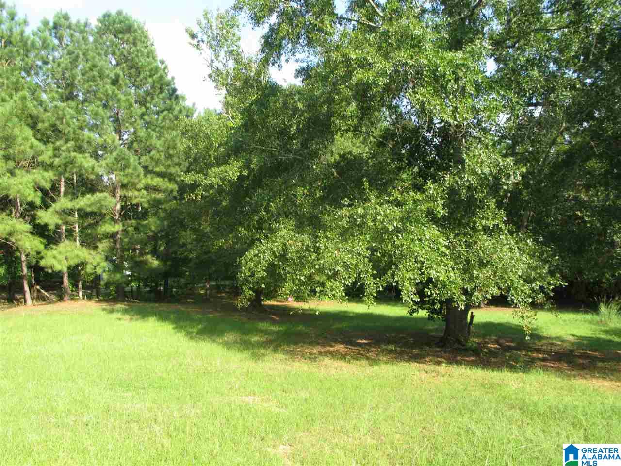 1784 Big Springs Road West Blocton, AL 35184 - Photo 5 of 14