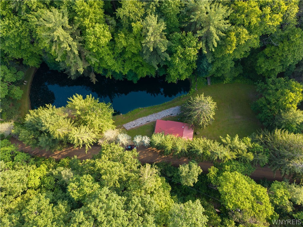 9173 Lyman Road Clarksville, NY 14727 - Photo 6 of 48 Drone