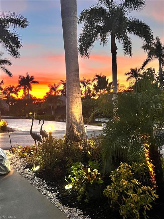 13575 Snook Circle Naples, FL 34114 - Photo 11 of 50 a view of a yard