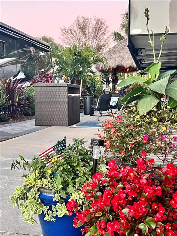 13575 Snook Circle Naples, FL 34114 - Photo 19 of 50 a picture of flowers