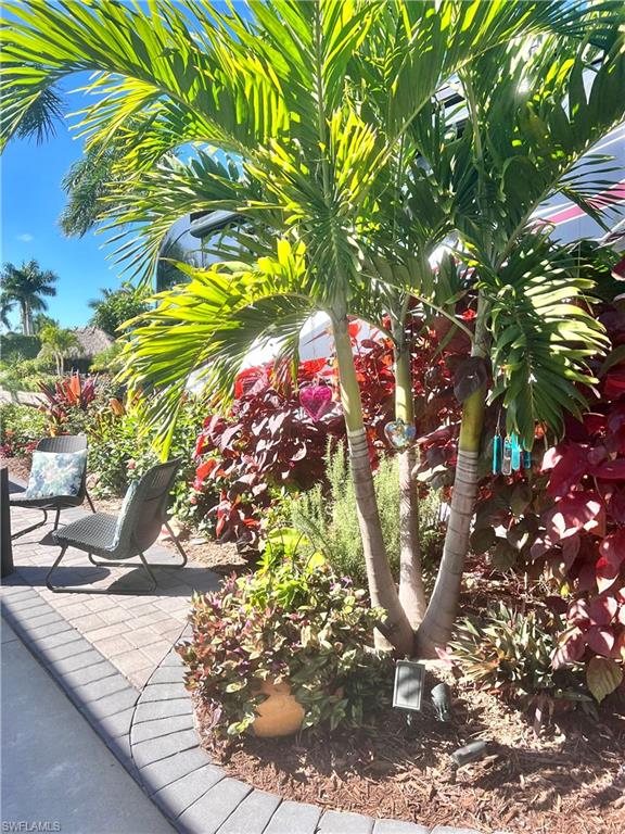 13575 Snook Circle Naples, FL 34114 - Photo 20 of 50 a view of a tree