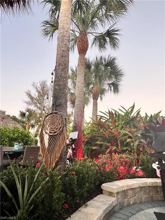 13575 Snook Circle Naples, FL 34114 - Photo 28 of 50 a view of a flower in a garden