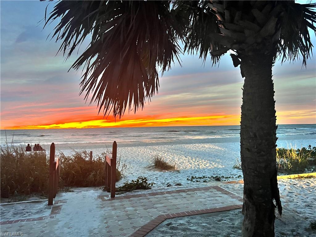 13575 Snook Circle Naples, FL 34114 - Photo 37 of 50 a view of a palm tree next to a yard