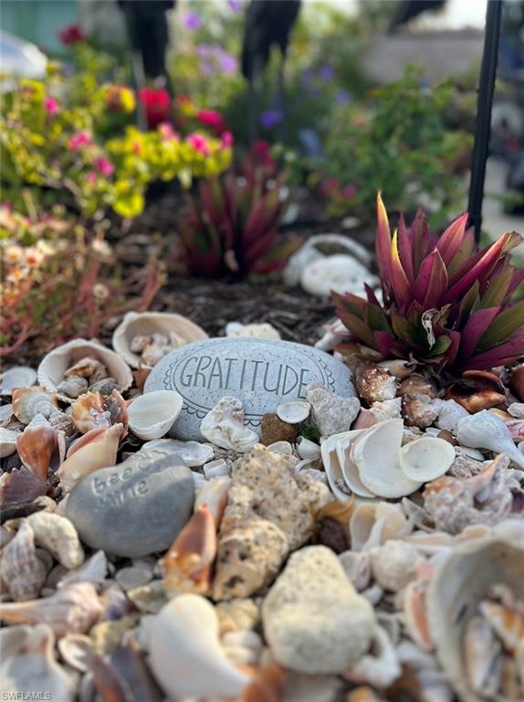 13575 Snook Circle Naples, FL 34114 - Photo 39 of 50 a close up of a flower in a garden