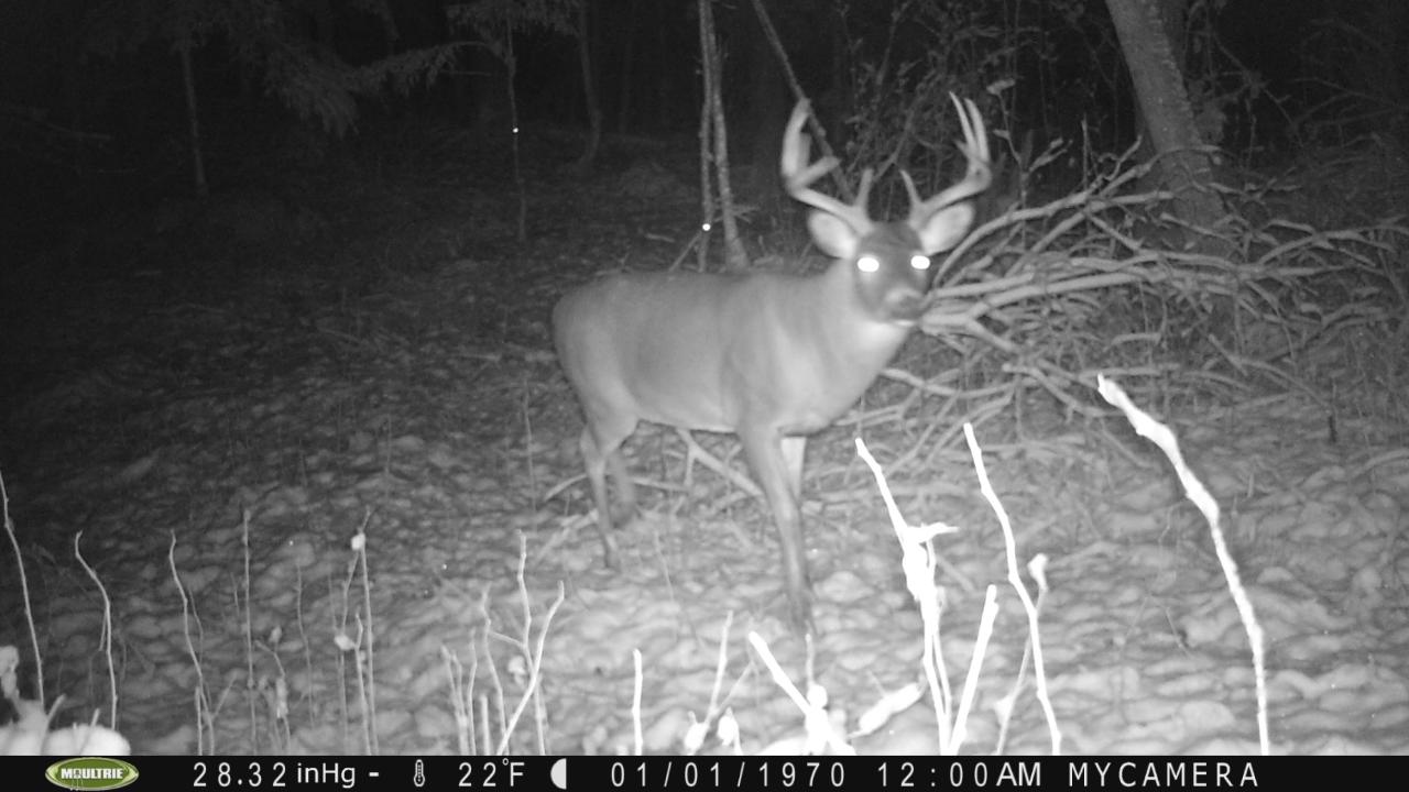 N11829 Cth F Phillips, WI 54555 - Photo 9 of 16 Gallery Image 9