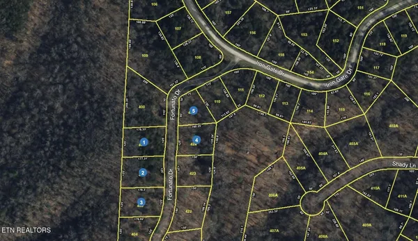 $34,900 | 0 Fortunato Drive, White Pine, TN 37890