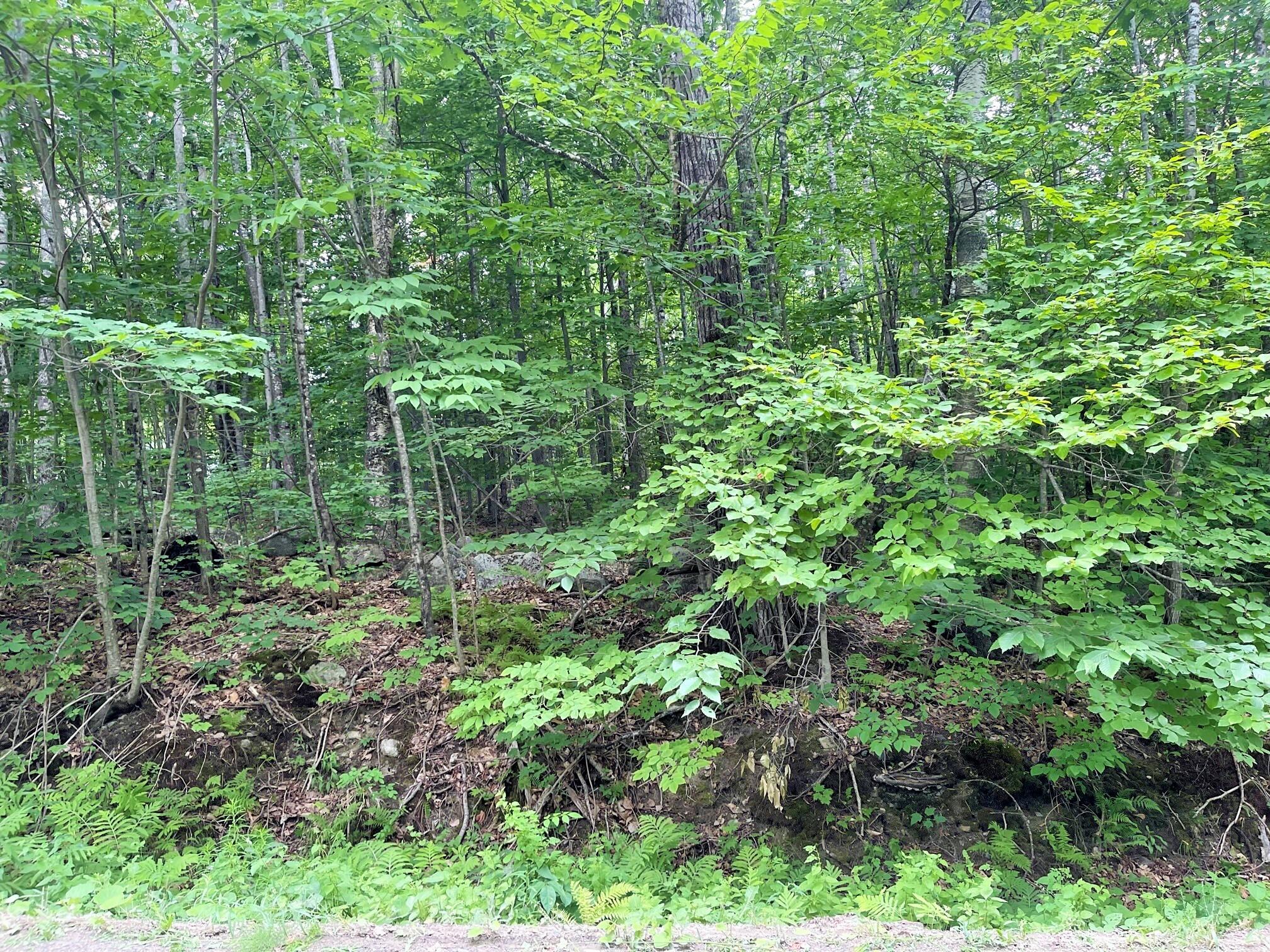 M9-l6 Finson Road St. Albans, ME 04971 - Photo 9 of 9 7