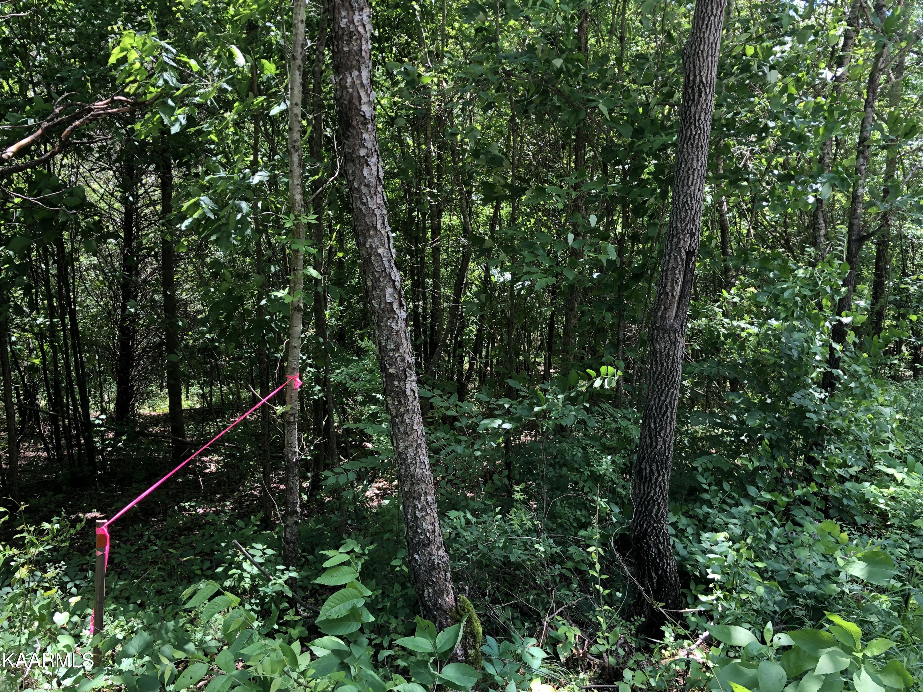 Farnsworth Road Vonore, TN 37885 - Photo 2 of 9 Starting property line