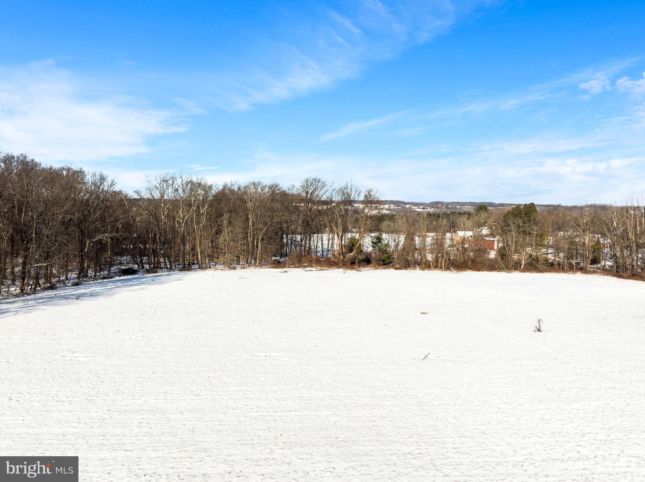 6195 Mechanicsville Road Carversville, PA 18934 - Photo 4 of 10 a view of lake view and mountain