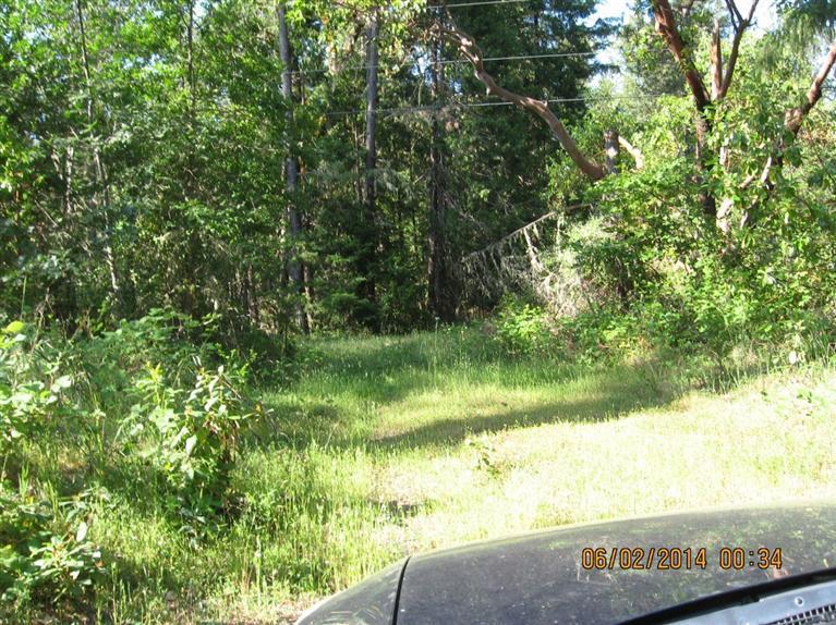 5935 Deer Creek Road Selma, OR 97538 - Photo 3 of 7 Additional Photo