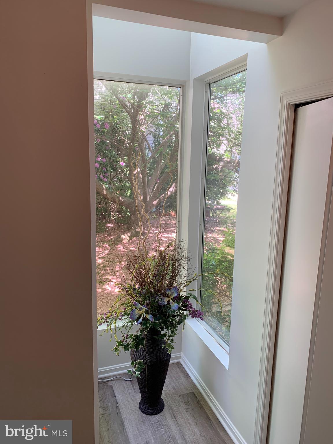 5478 Stavendish Street Burke, VA 22015 - Photo 19 of 24 a view of a room with a potted plant