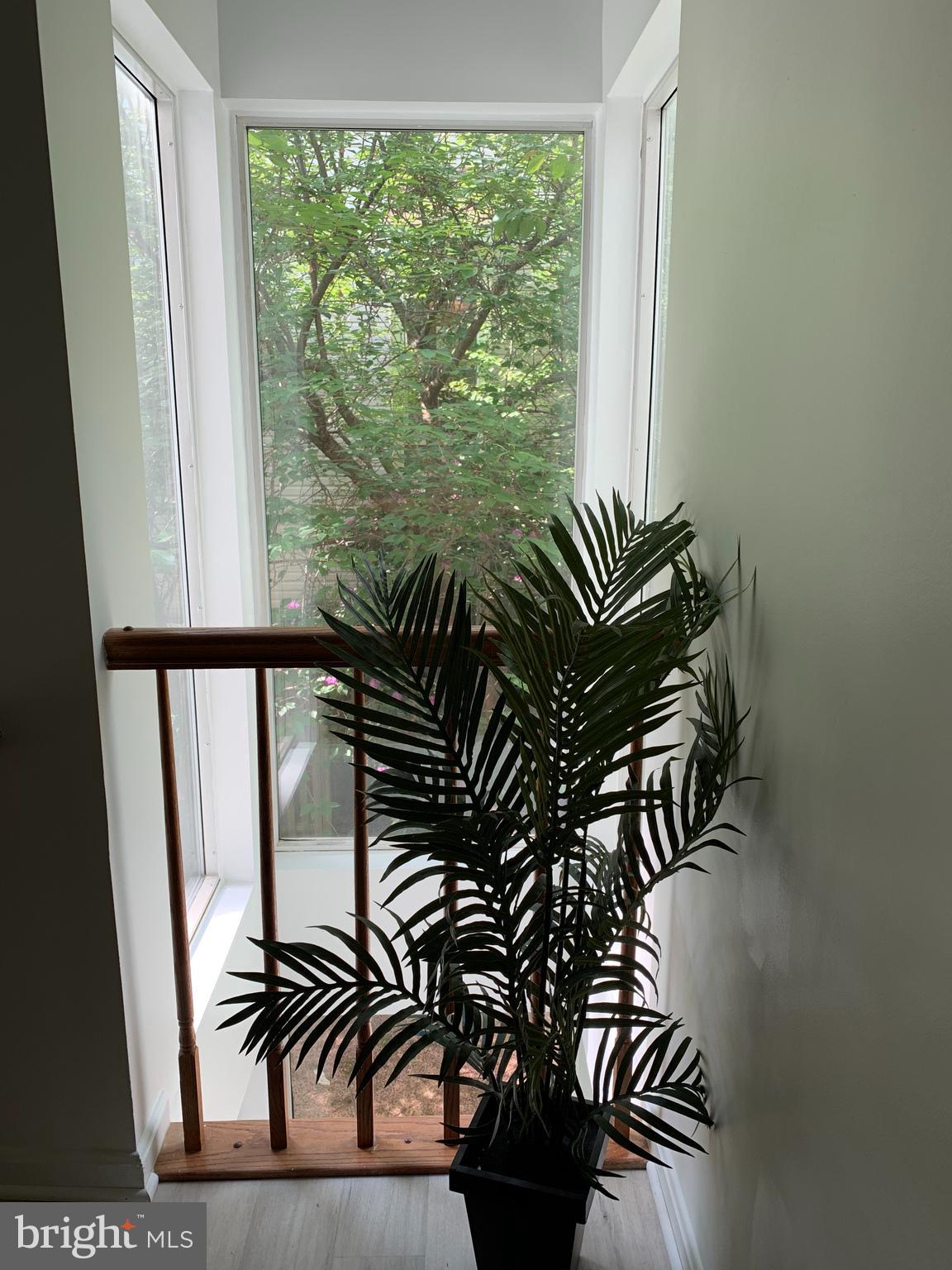 5478 Stavendish Street Burke, VA 22015 - Photo 24 of 24 a view of entryway and hall with wooden floor