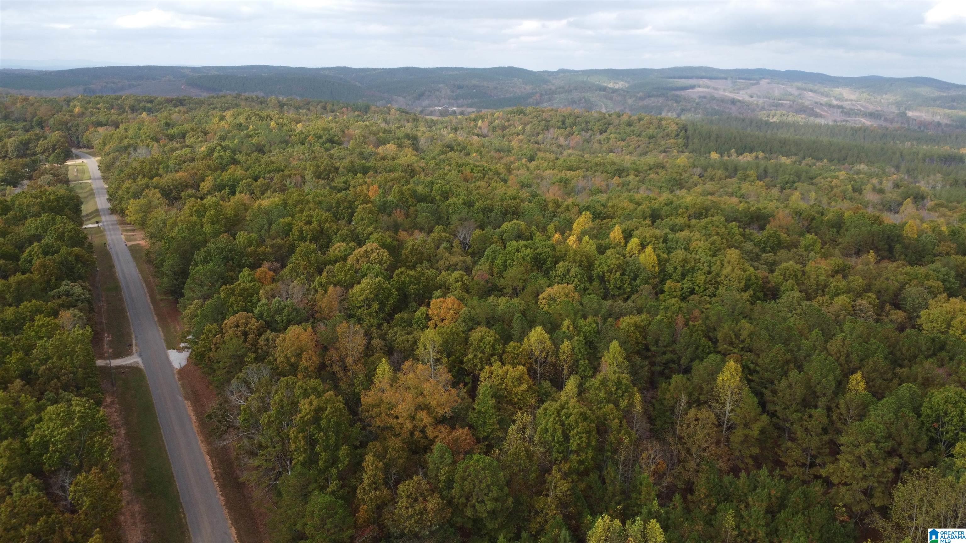 4348 County Road 25, Unit 1 Heflin, AL 36264 - Photo 19 of 22