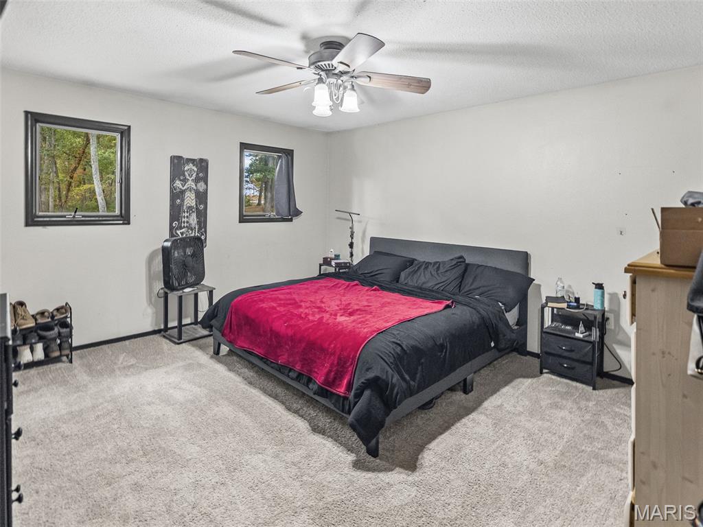 370 West Mill Street Red Bud, IL 62278 - Photo 30 of 51