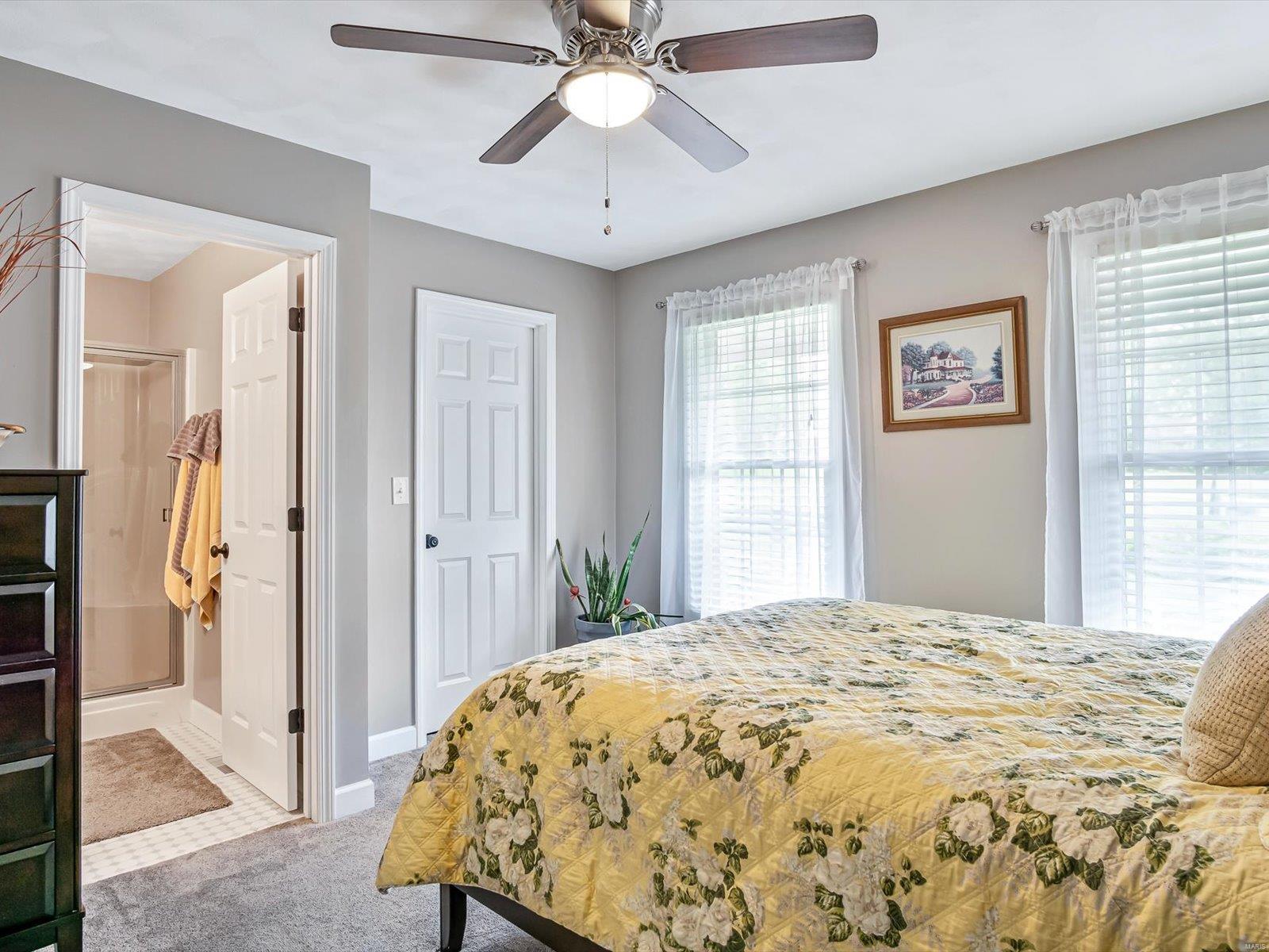 6 Country Lakes Lane Waterloo, IL 62298 - Photo 19 of 41 Gallery Image 19