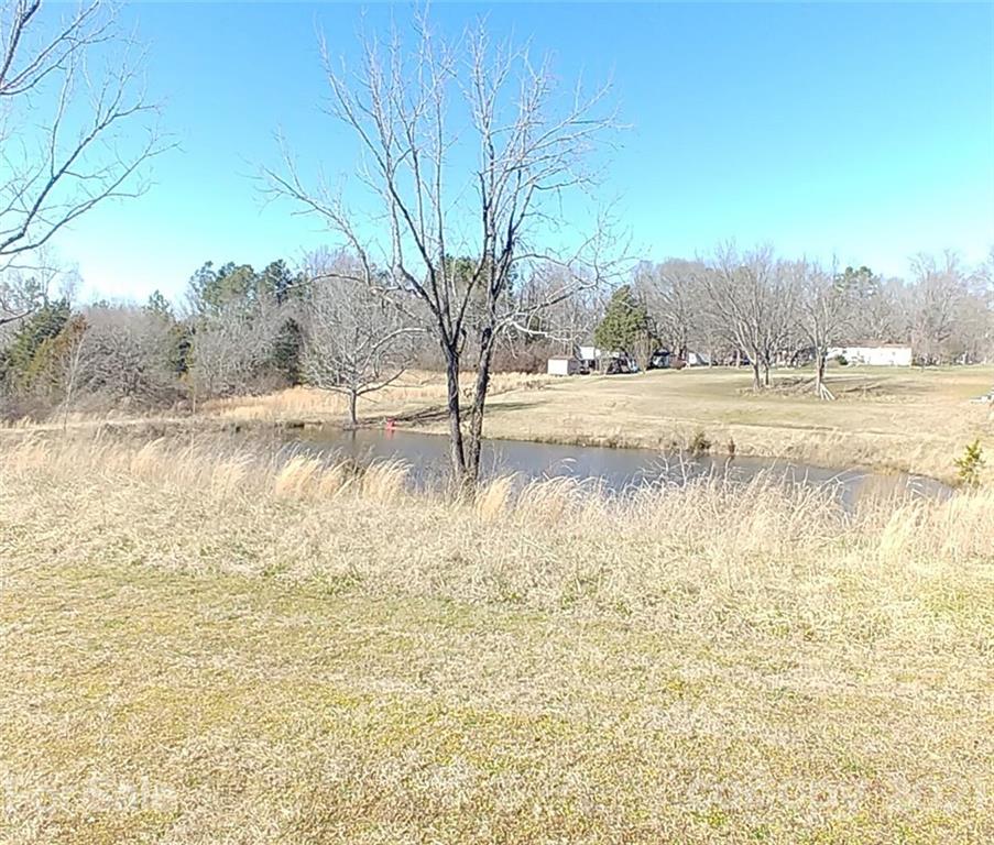 4335 Willis Hollis Road Edgemoor, SC 29712 - Photo 20 of 26 a view of yard with trees