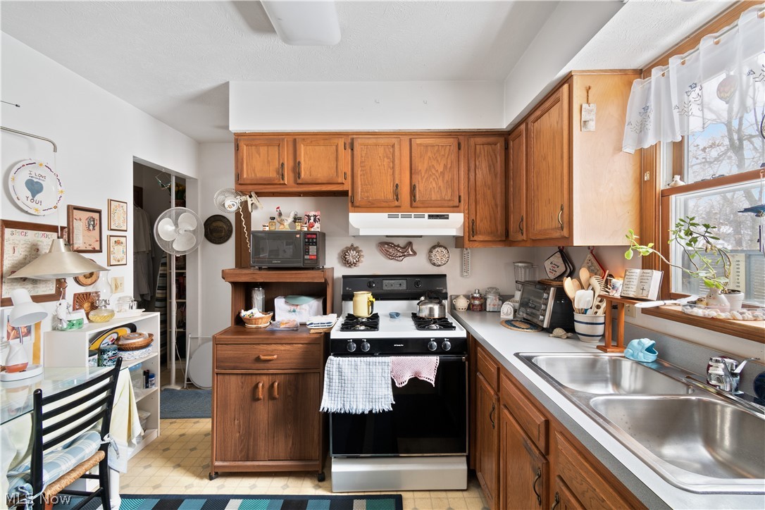 230 Longview Road, Unit 232 Medina, OH 44256 - Photo 8 of 15 Gallery Image 8