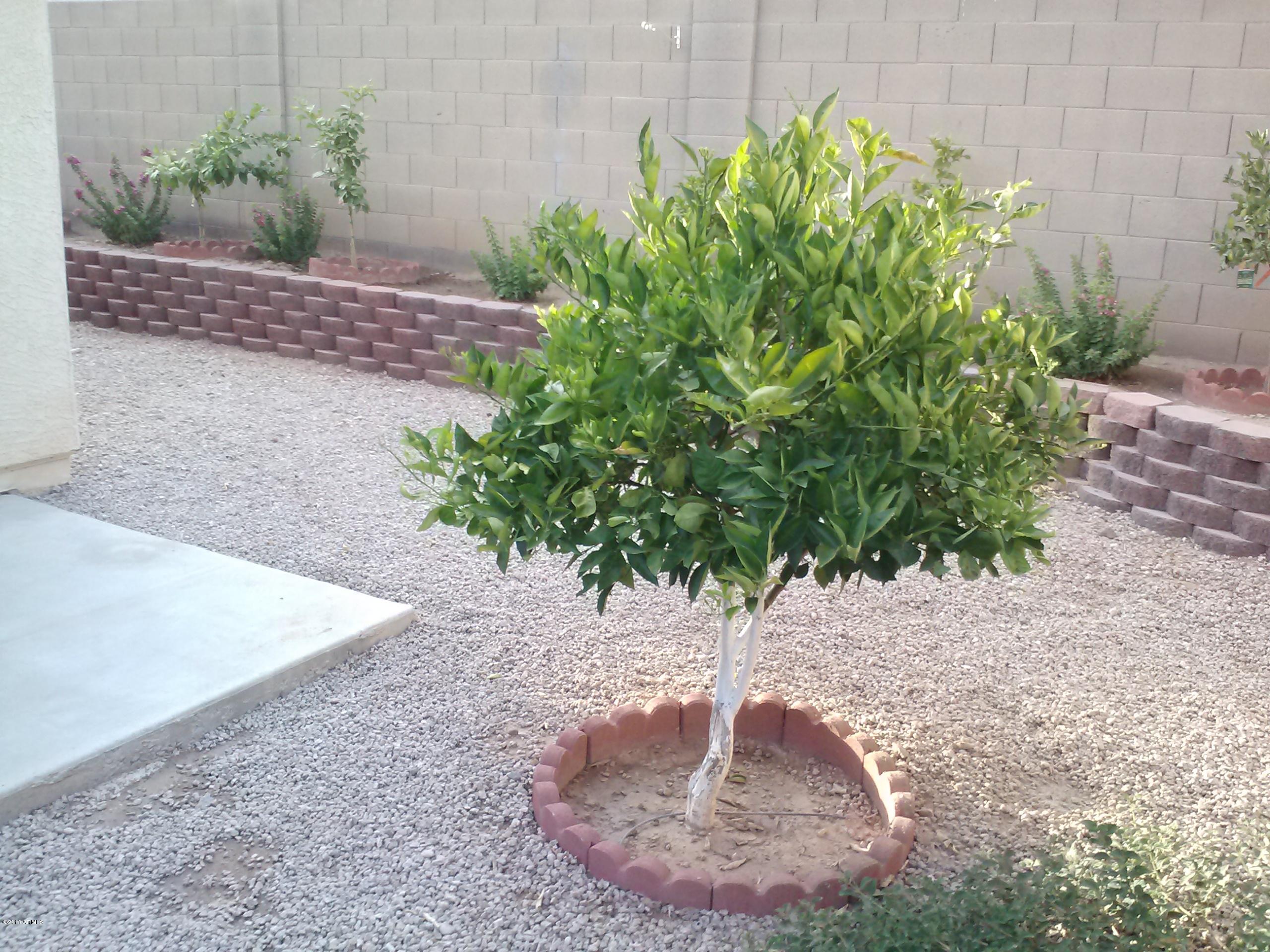 3330 South Conestoga Road Apache Junction, AZ 85119 - Photo 13 of 20 0814131828a