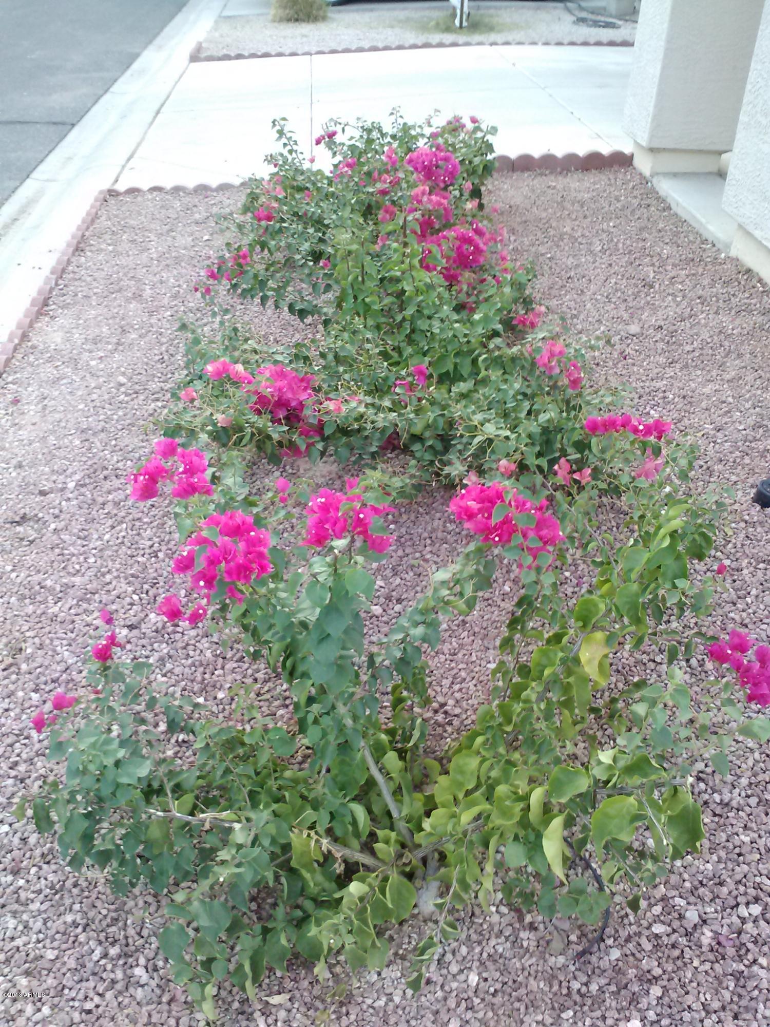 3330 South Conestoga Road Apache Junction, AZ 85119 - Photo 15 of 20 0814131847a