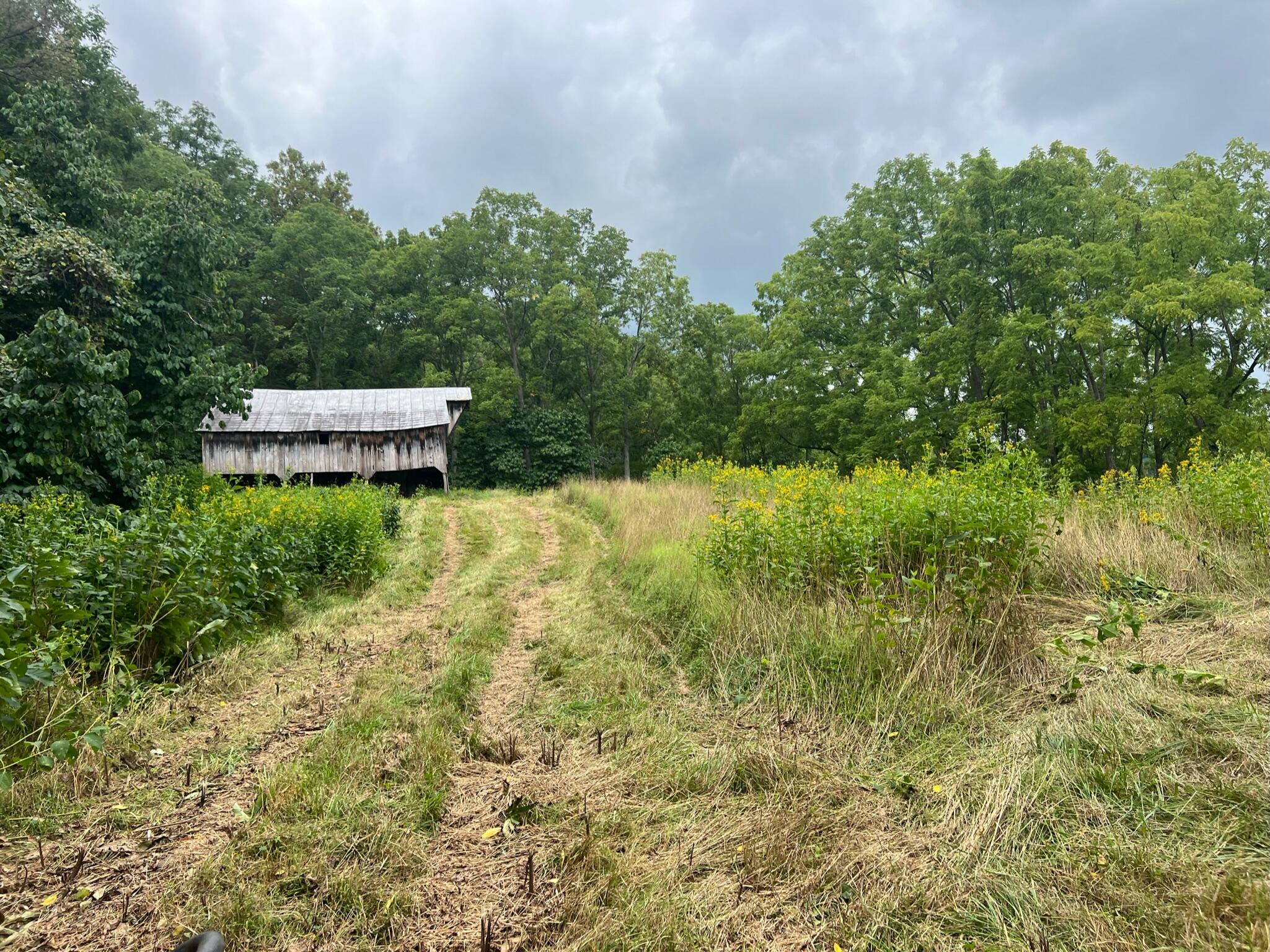 Wayside Creamery Road Pence Springs, WV 24962 - Photo 10 of 28 Gallery Image 10
