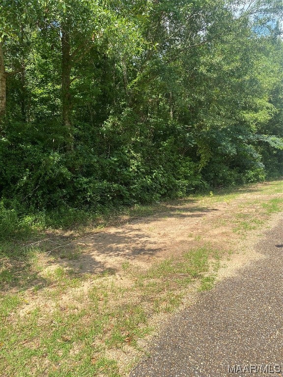 0 County Road 1166 Road Troy, AL 36079 - Photo 6 of 12 Gallery Image 6