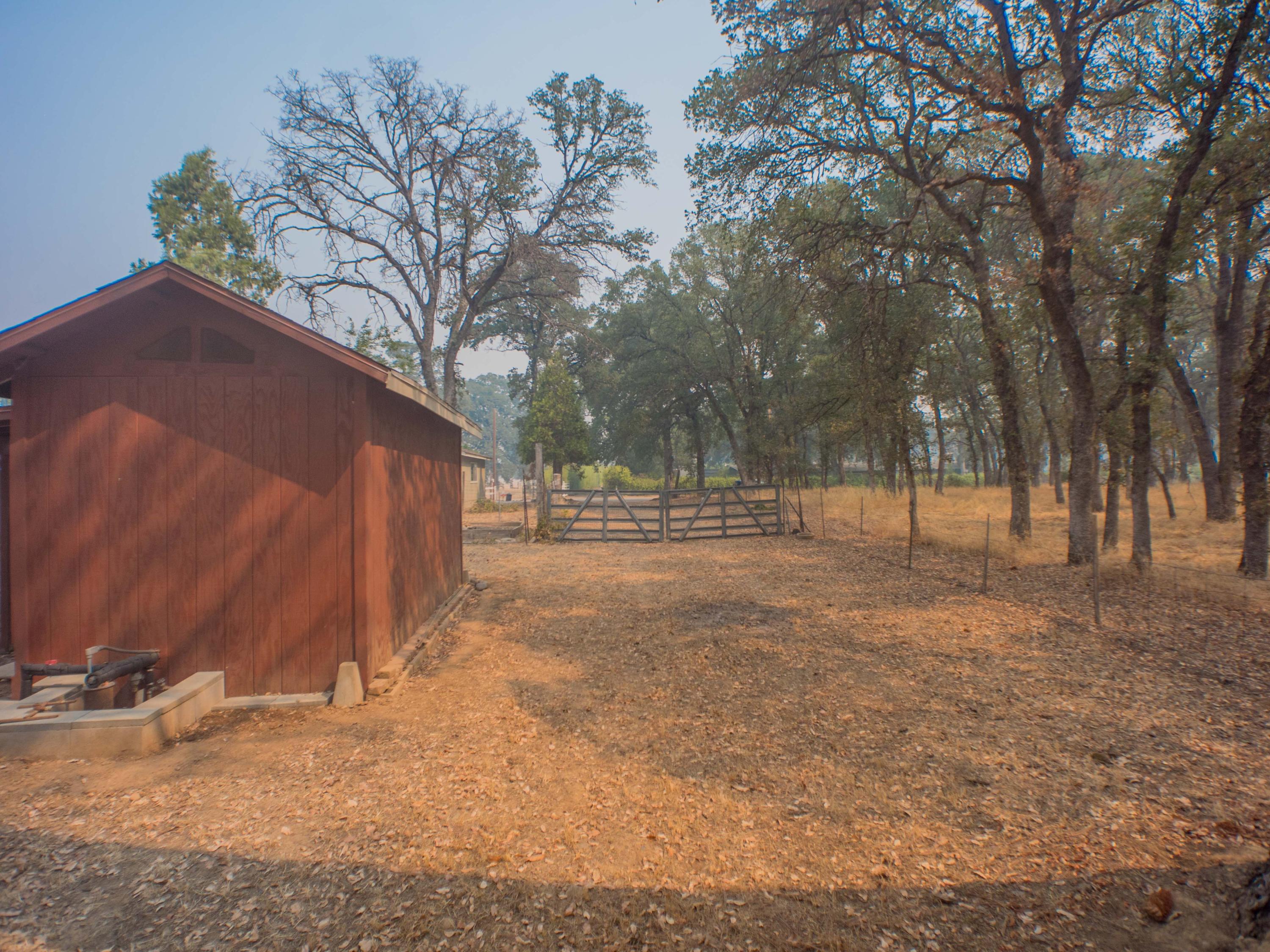 16245 Gas Point Road Cottonwood, CA 96022 - Photo 41 of 55 Gas Point Kristin-45