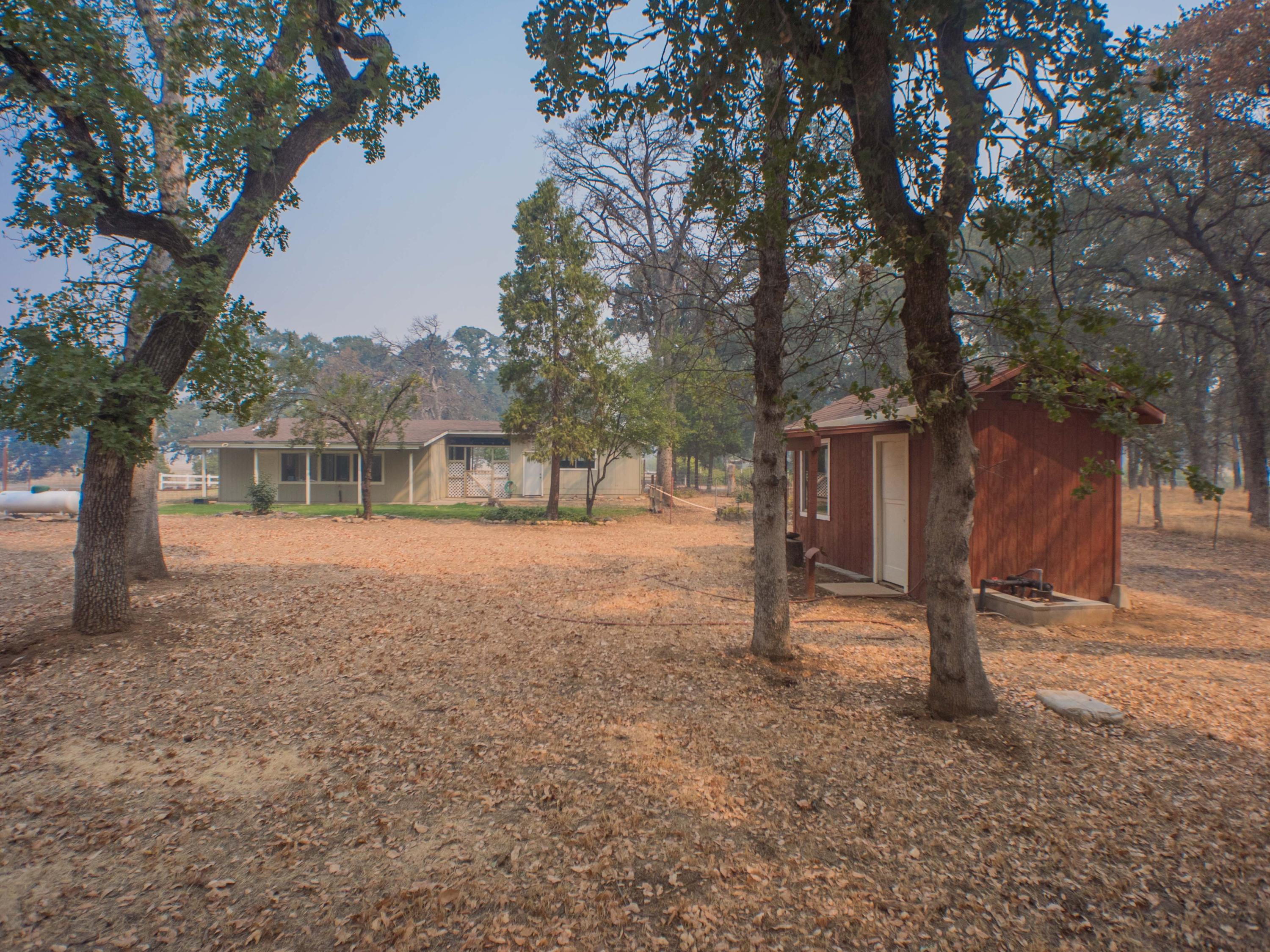 16245 Gas Point Road Cottonwood, CA 96022 - Photo 42 of 55 Gas Point Kristin-46