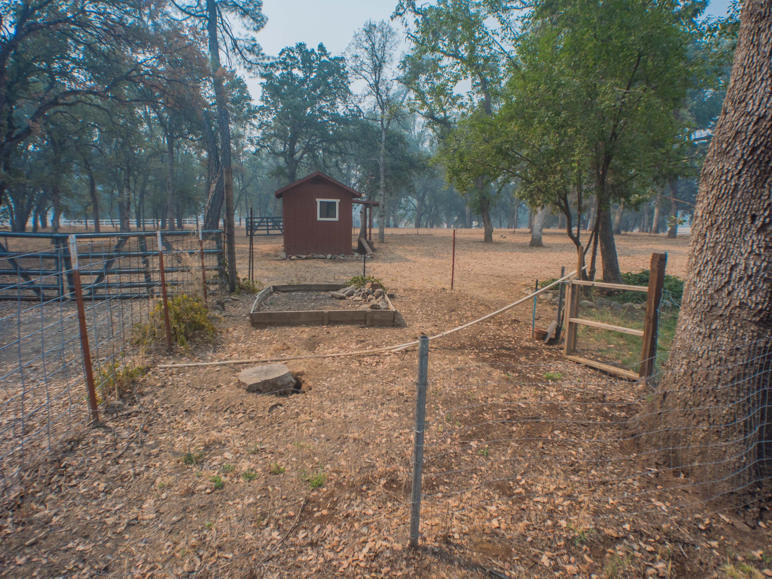 16245 Gas Point Road Cottonwood, CA 96022 - Photo 46 of 55 Gas Point Kristin-50